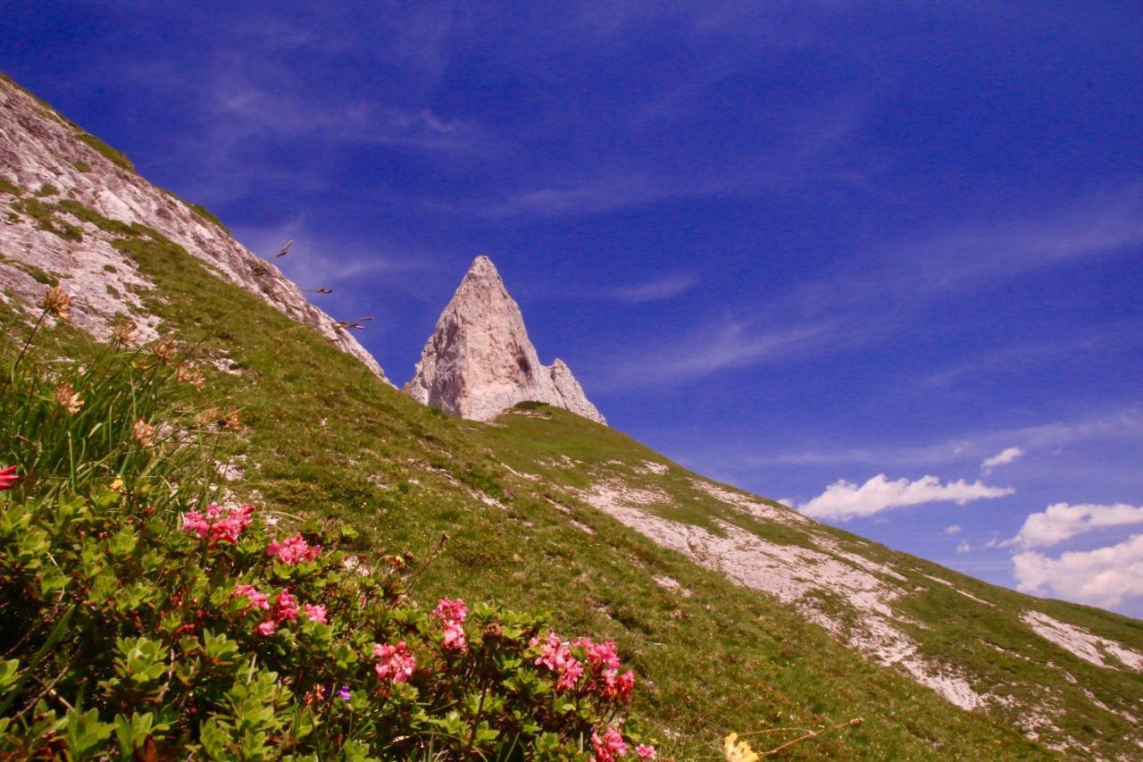 Schermerhuetten Tauplitzalm Extérieur photo